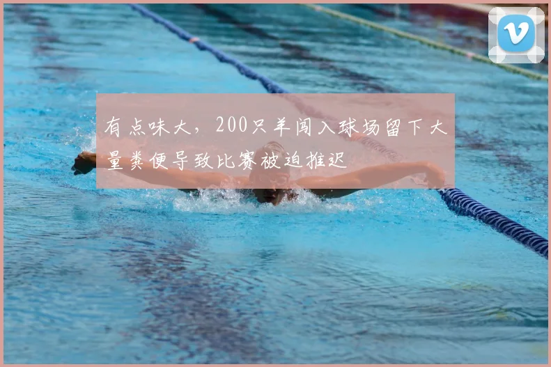 有点味大，200只羊闯入球场留下大量粪便导致比赛被迫推迟