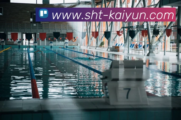 App Interface Preview